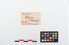 Etiketten zu Bronzering (NHMW-PRAE-024172a)